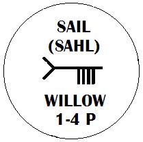 Sail - Willow Ogham