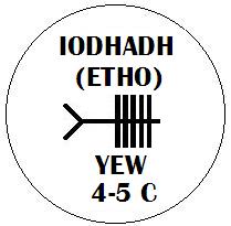 Iodhadh - Yew Ogham