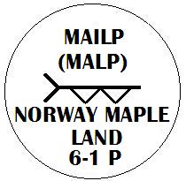 Mailp - Norway Maple Ogham